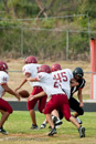 Roughriders v. Porcupines              				
