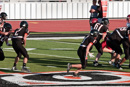 Roughriders v. Porcupines              				