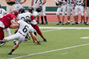 Roughriders v. Wildcats              				