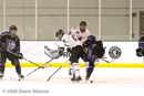 DSSE v. Polar Bears