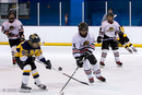 Blackhawks v. Lions (Blake)