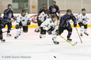 DSSE v. Polar Bears              				