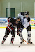 Hockey Gallery              				