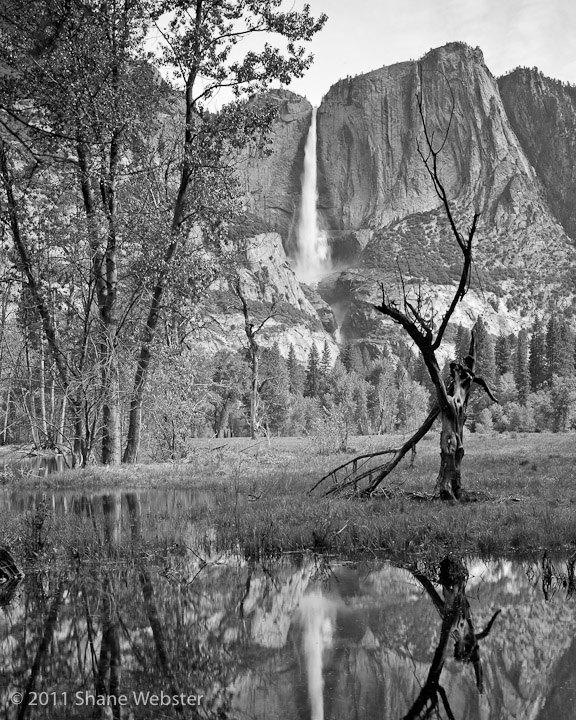 Yosemite falls in the background and reflected in the foreground
